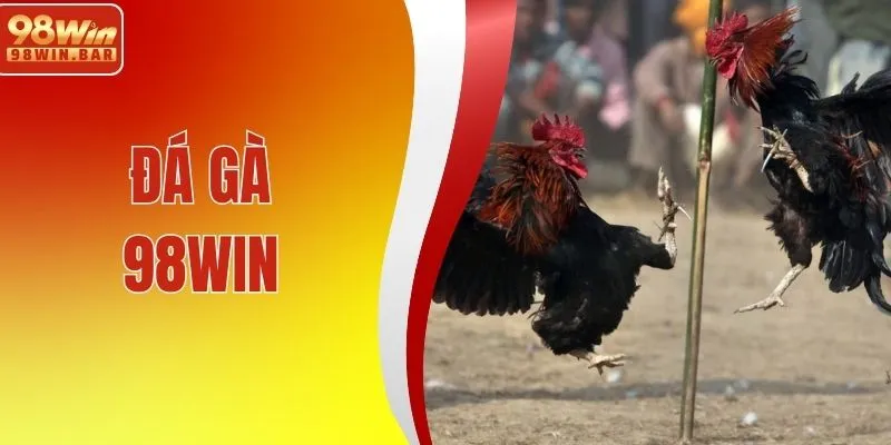 Đá Gà 98WIN - Cập Nhật Trận Đấu Liên Tục, Diễn Biến Rõ Ràng