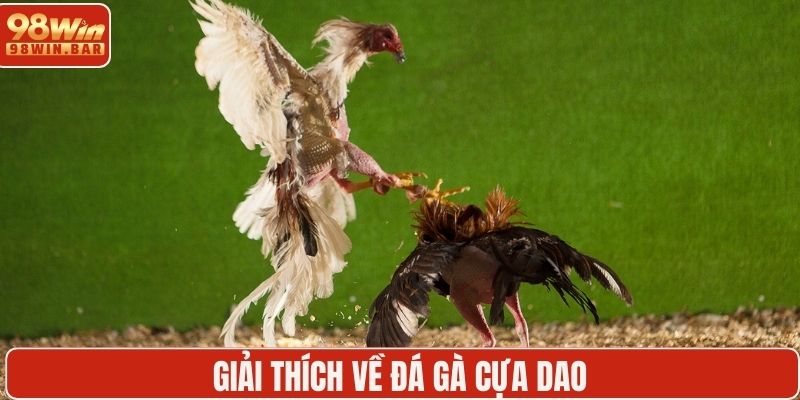 Giải thích về đá gà cựa dao