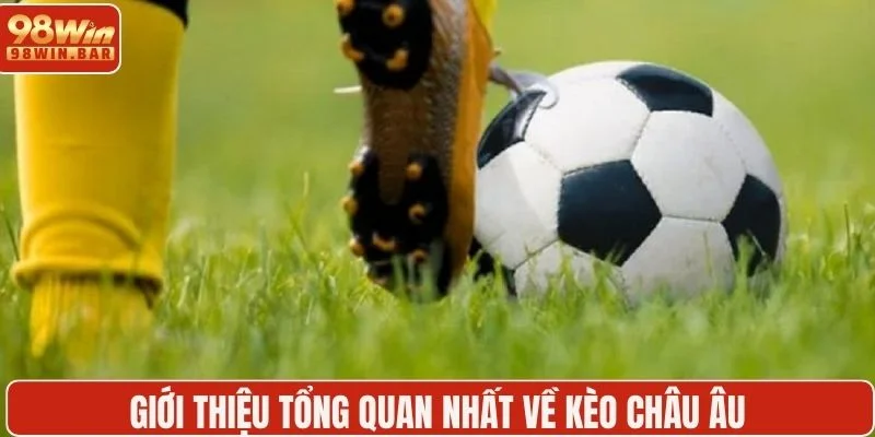 Giới thiệu tổng quan nhất về kèo châu Âu 
