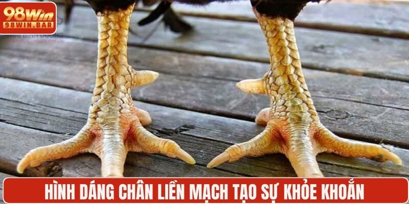 Hình dáng chân liền mạch tạo sự khỏe khoắn