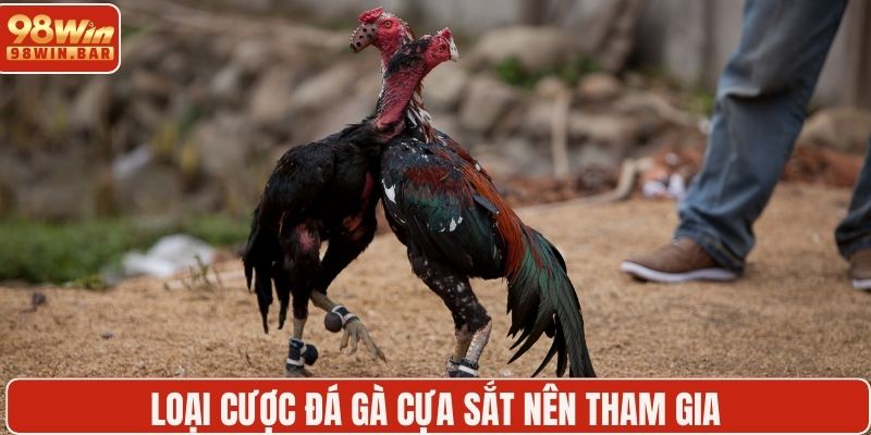 Loại cược đá gà cựa sắt nên tham gia
