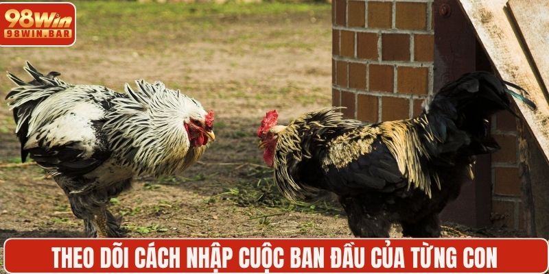 Theo dõi cách nhập cuộc ban đầu của từng con
