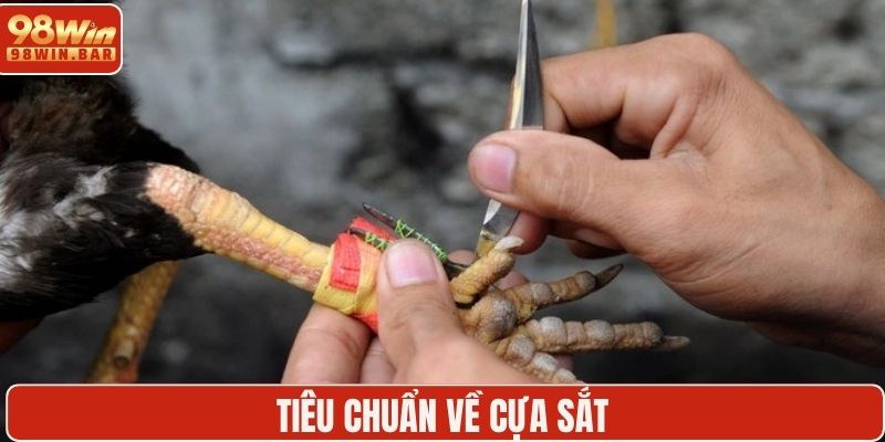 Tiêu chuẩn về cựa sắt